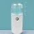 Import Personal Beauty Care Beauty Steamer Facial Nano Mist Sprayer Facial And Hair Steamer from China