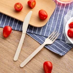 Plastic Disposable PLA Cutlery Fork / Knife / Spoon / Flatware Set For  Dinner  6" and 7"