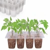 Plastic preservation seedling tray nursery sprout trays/sprouting planting pot