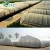 Import plastic single arch greenhouse for sale from China