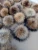 Import Pompom Pom Ball with Snap SF0579 Factory Wholesale Fake Fox Fur or Faux Raccoon Fur Plastic Bag Bag Pendant Women Dry-cleaned from China