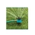 Import Popular Noodlehead Fleible Water Lawn Irrigation Watering Garden Sprinkler from China