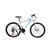 Import Popular Outstanding Quality Foldable Aluminum Frame Bicycle from China