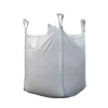 PP jumbo bag with container liner