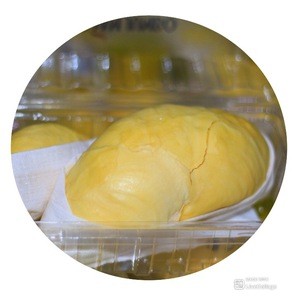 Premium fresh durian from Thailand