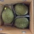 Import Premium Grade Durian Thailand Fresh Manufacturer from Thailand from China