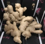 Premium Grade Exporter Fresh Ginger Buyers, Ginger Extract