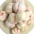Import Premium Mangosteen Freeze-dried Product of Thailand from Thailand