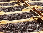 Premium Quality Vanilla Bean, Madagascar Vanilla Bean