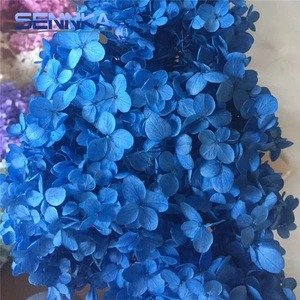 Preserved flower in bulk light blue preserved fresh hydrangeas hot export