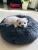 Import Products Pet Supplies Comfortable Cuddler Round Dog Bed Ultra Soft Washable Dog and Cat Cushion Bed from China