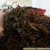 Import PS Black tea as Assam black tea Aroma from Vietnam