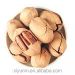raw/roasted baked salted pecan nuts with shell