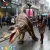 Import Realistic Walking with T-rex Dinosaur Costume for Sale from China