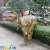 Import Realistic Walking with T-rex Dinosaur Costume for Sale from China