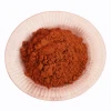 red brown cosmetic pigment powder Iron oxide pigment brown for ceramic glaze and coating