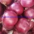 Import Red Onion and Yellow Onion, Wholesale Fresh Onion for Sale, Export Fresh Onion Hot--China New Crop Red Onion Bags and Cartons Fresh Onion from China