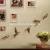 Import Resin arts and crafts bird wall hangings home decor from China