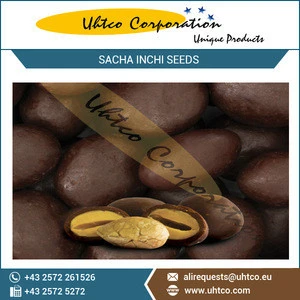 Sacha Inchi Seeds Covered in Chocolate with Yacon Syrup