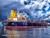 Import shipping intermediary taobao service companies in algeria sea transportation frieght forwarder china to australia/new zealand from China