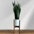 Import Simple Plant Stand Indoor Outdoor Garden Balcony Decoration Brown Bamboo Adjustable Flower Stand from China