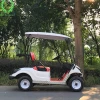 Single seater or 2 seaters electric golf cart