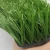 Import Soccer Grass 50mm Synthetic Turf Artificial Grass Football Landscape Putting Green grass from China