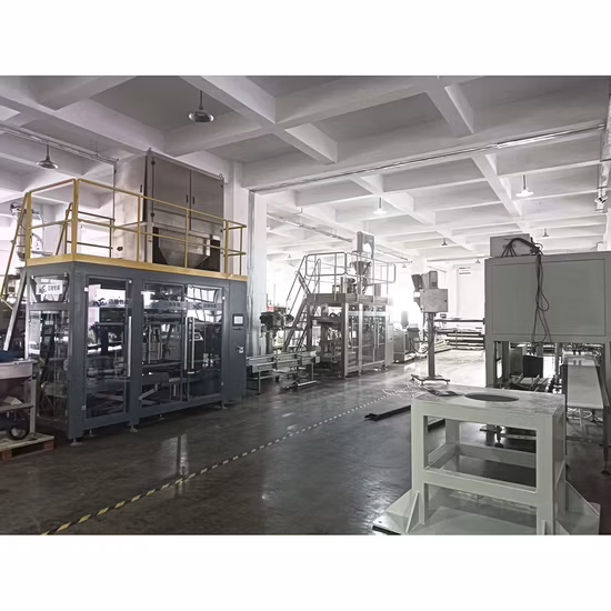 Import Automatic Stand up Pouch Packing Machine for Coffee Bean Pet Food Cube Sugar Coffee Salt Rice Packing Machine from China