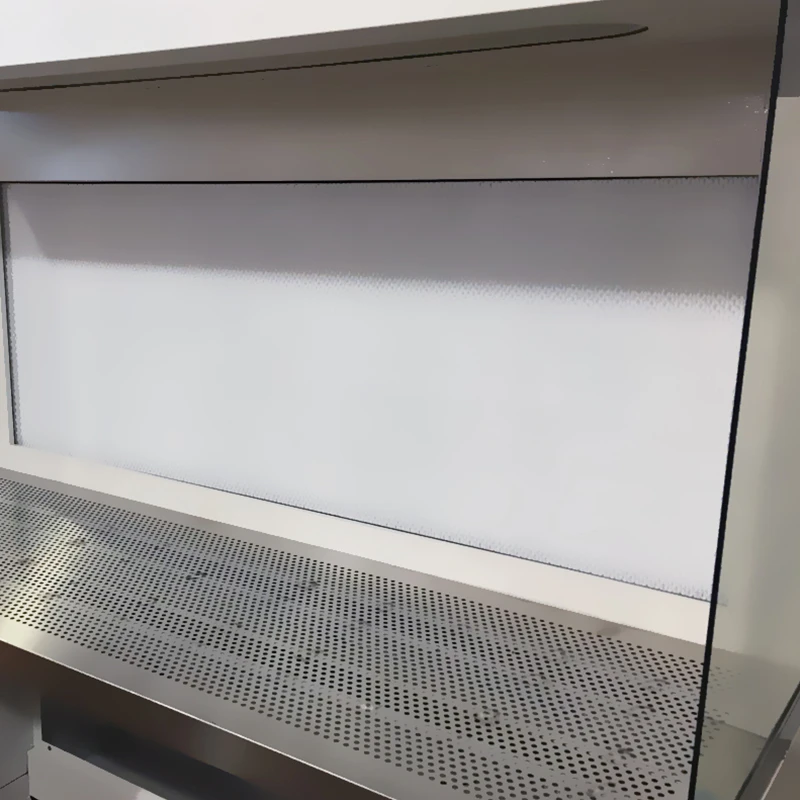 Stainless Steel Biological Safety Cabinet Laboratory Equipment