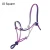 Import Taiwan Ombre Rope Halter for Equestrian Products from China