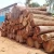 Import Teak Logs - Very Good Price! from Thailand