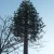 Import Telecommunication Steel Galvanized Cell Phone GSM antenna mast 30 meter tower monopole Camouflage Pine Tree Tower from China