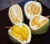 Import Thailand High quality fresh durian fruit with good price from South Africa
