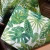 Import The Palm Leaf Theme Napkin Set, Restaurant Paper Napkin With Three Vibrant Patterns, Luncheon Napkin from China