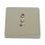 Import TianLai86 Standard Smart Home System RCA and 3.5 AUX Jack Input Wall Audio Panel Easy Connection from China