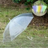 Transparent umbrella with automatic hook and straight handle