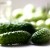 Import Vietnam pickled cucumber/pickled gherkin/pickled cornichons in glass jar from China