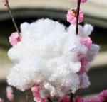 viscose staple fiber 1.5D*38mm 1.67Dtex*38mm