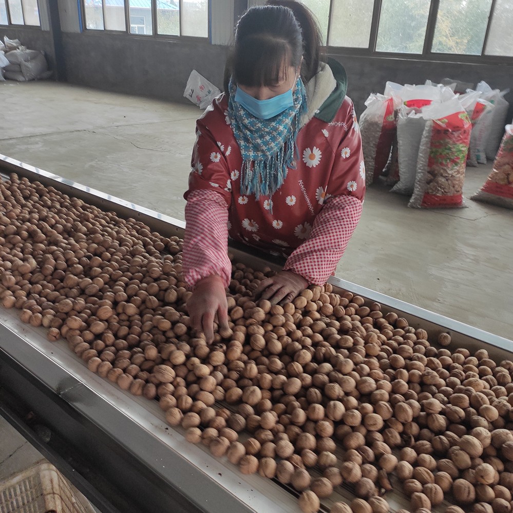walnuts in shell priceshamdler