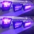 Import Waterproof Black Lamp 10W 20W 30W 50W 100W 150W 200W 385nm 400nm Purple Uv Led Flood Light For Curing from China