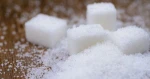 White Refined Sugar