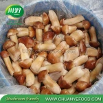 Whole Edible Fungus Stropharia Mushroom in Brine