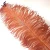 Import Wholesale  70-75cm brown Ostrich Feather for Wedding Centerpiece from China