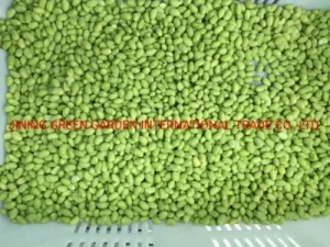Wholesale Bulk IQF Soybean Frozen Green Edamame Young Green Beans