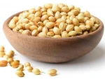 Wholesale Exporter Of Organic Coriander Seeds