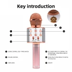 Wholesale Home KTV Ws858 Professional Karaoke Microphone Wireless Handheld Microphone With Good Sound Speaker MIC