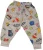 Import Wholesale India Bazaar Stylish Baby Products Track Pant For Boys & Girls  (Multicolor Pack of 1) from India