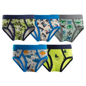 Wholesale Little Boys Underwear Brief Dinosaur Truck Camo Underwear for Children