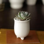 wholesale Modern White Decorative Garden Flower Holder Three-legged round ceramic flower pot Succulent Plant Pot