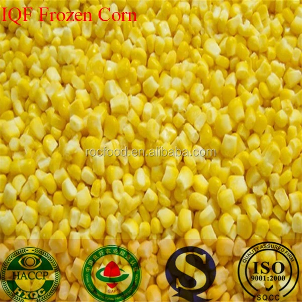 Wholesales frozen vegetables bulk IQF sweet corn price